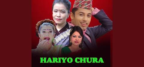 Hariyo Chura